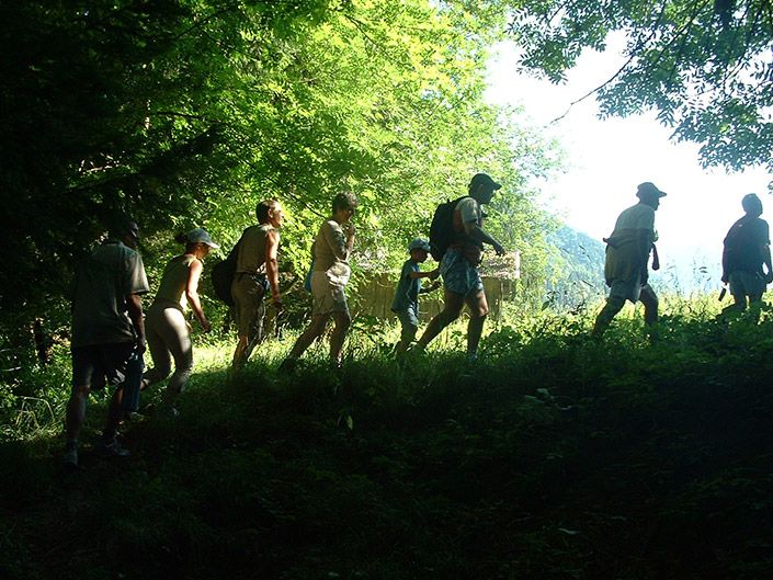 Discovery walk « Forest tales »  (youngsters)