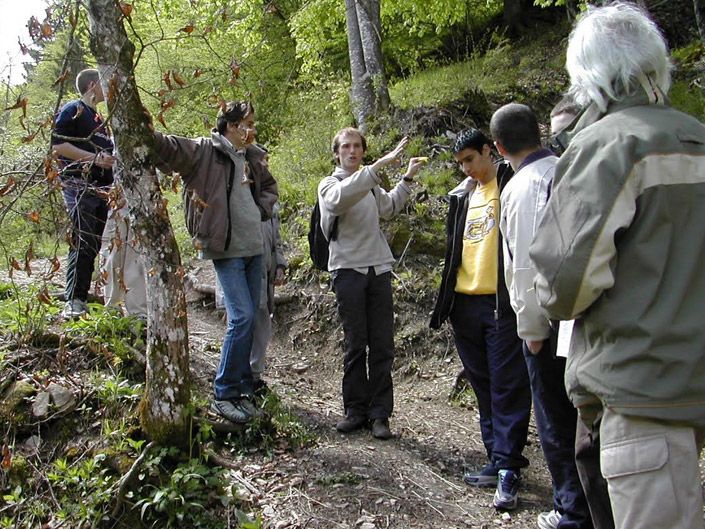 Discovery walk in the Mont Forest