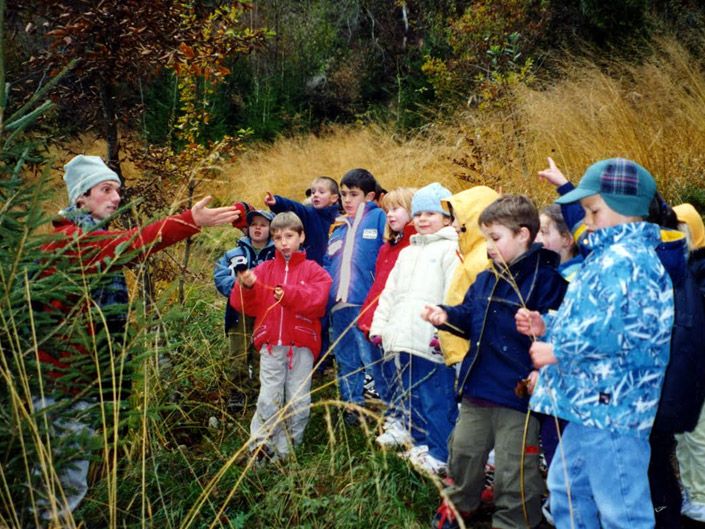 Training  Forest Tales 