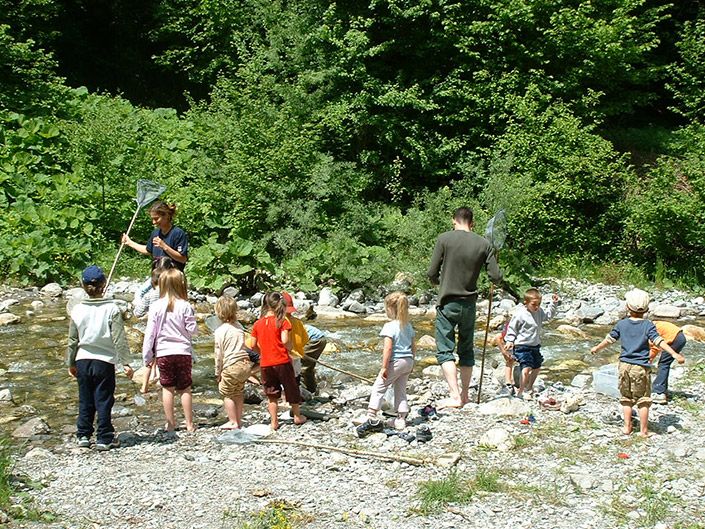 Animation dcouverte du milieu aquatique : le torrent et la mare (groupes enfants / scolaires)