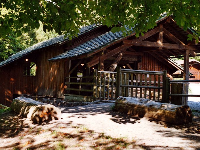 Visit of the sawmill of Etouvires (youngsters)