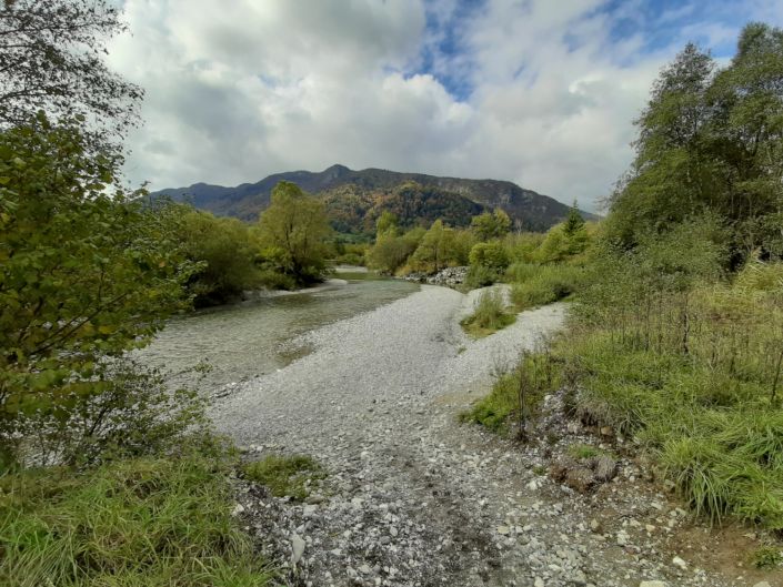 Scierie des Etouvières - Photo de Ecomusée du Bois et de la Forêt, Thones -  Tripadvisor