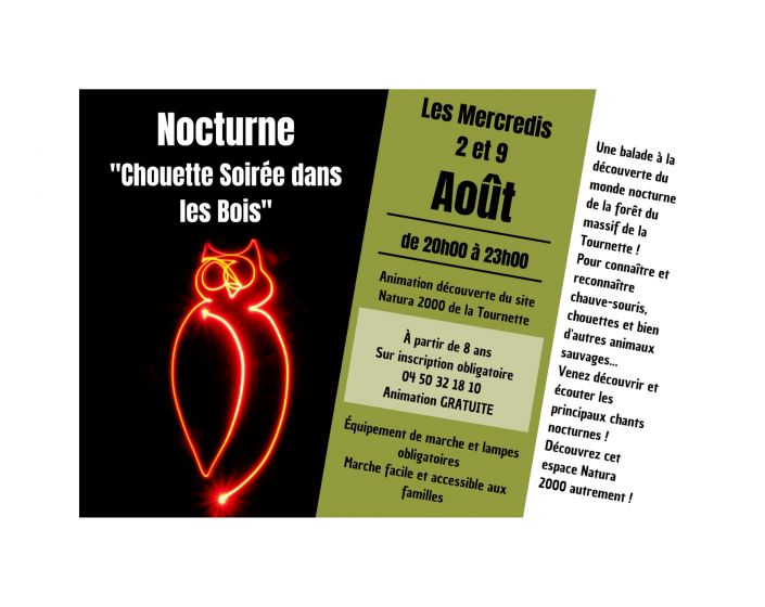 Chouette Soire dans les Bois