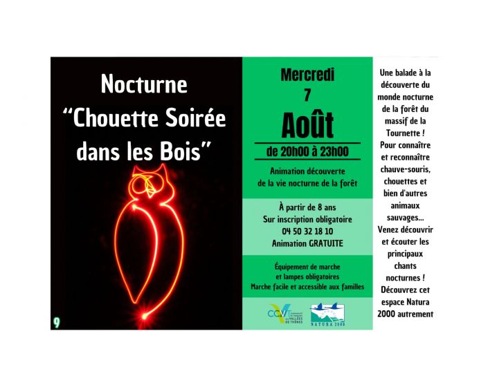 Chouette Soire dans les Bois