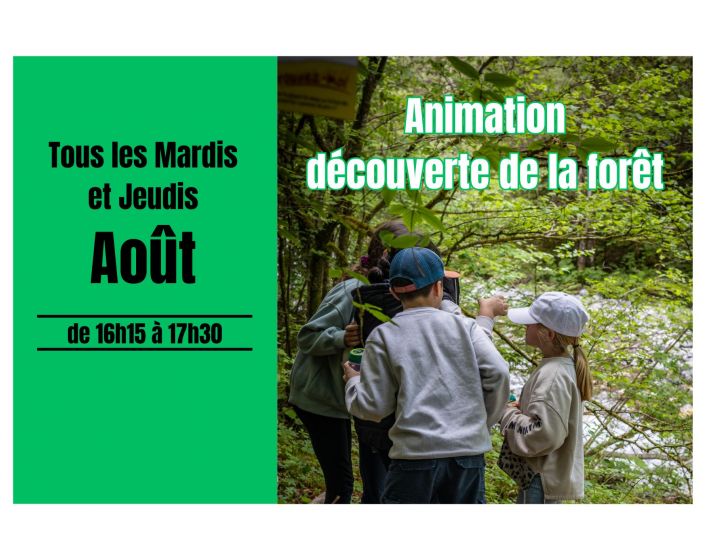 Animation dcouverte de la fort
