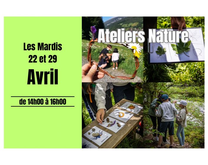 Atelier NATURE : la Fort au Printemps