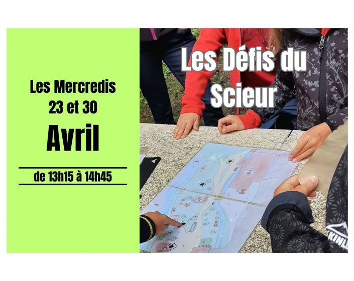 Animation "Les Dfis du Scieur"