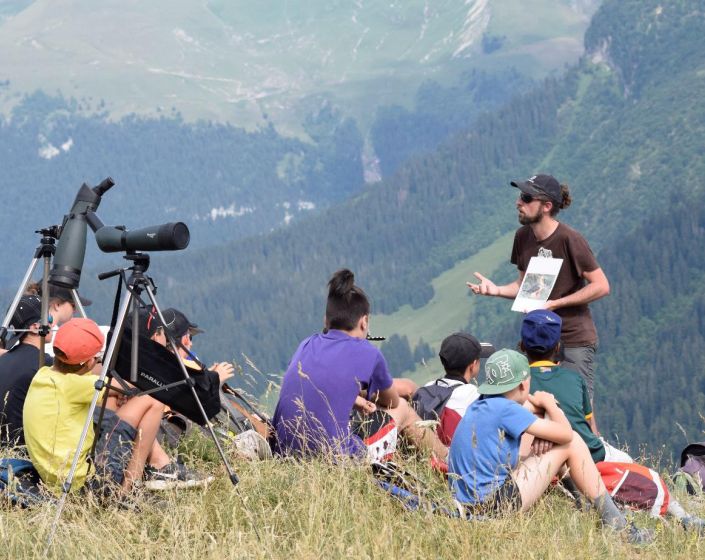 EXEMPLE - Sortie dcouverte "les Apprentis Forestiers"