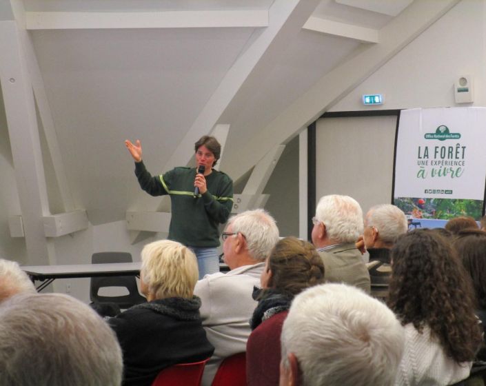 EXEMPLE - "Au Fil du Bois"