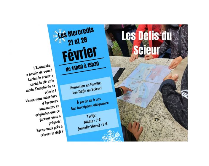 Les Dfis du Scieur