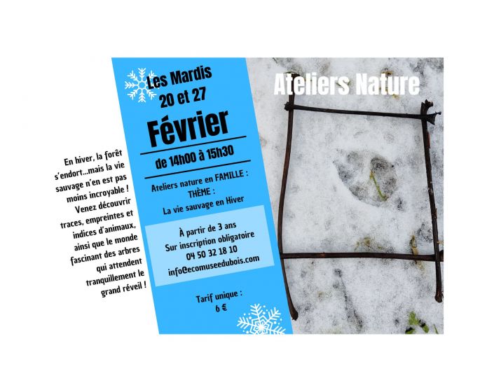 Atelier NATURE : la vie sauvage en hiver