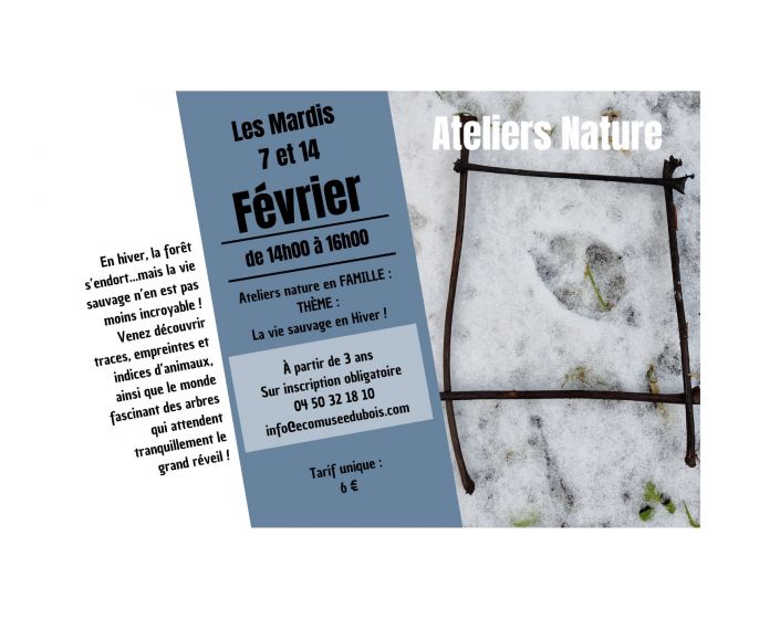 EXEMPLE - Atelier NATURE : la vie sauvage en hiver