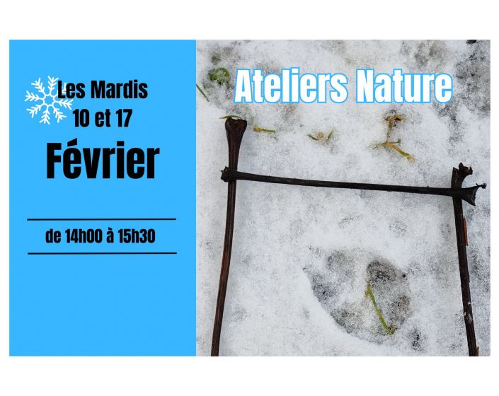 Atelier NATURE : la vie sauvage en hiver