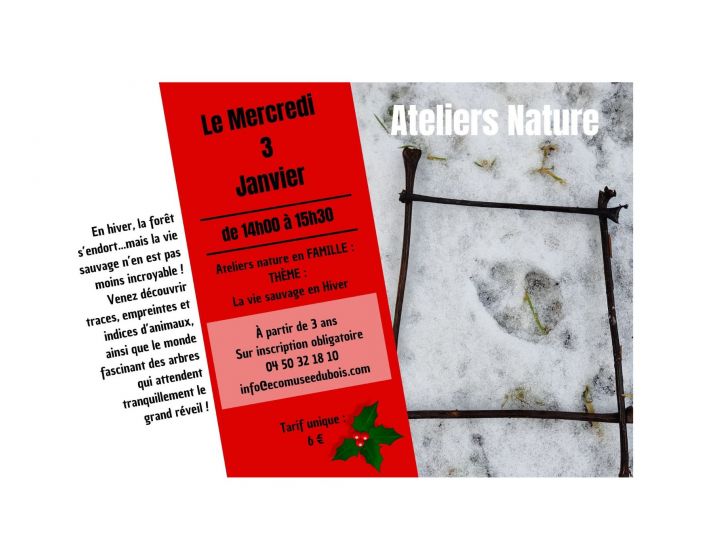 Atelier NATURE : la vie sauvage en hiver