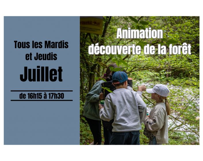 Animation dcouverte de la fort