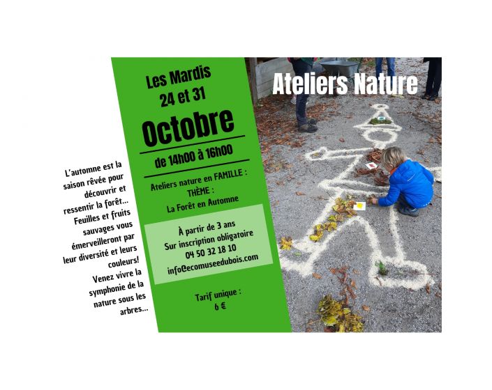 Atelier NATURE : La Fort en Automne