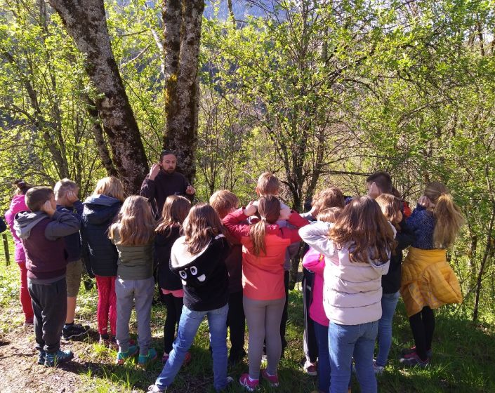 EXEMPLE - Atelier NATURE en famille : Dcouverte de la fort