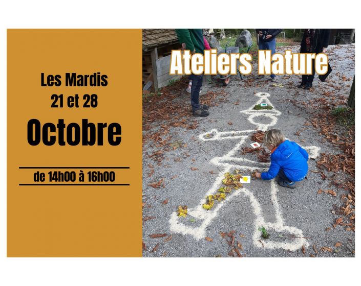 Atelier NATURE : La Fort en Automne
